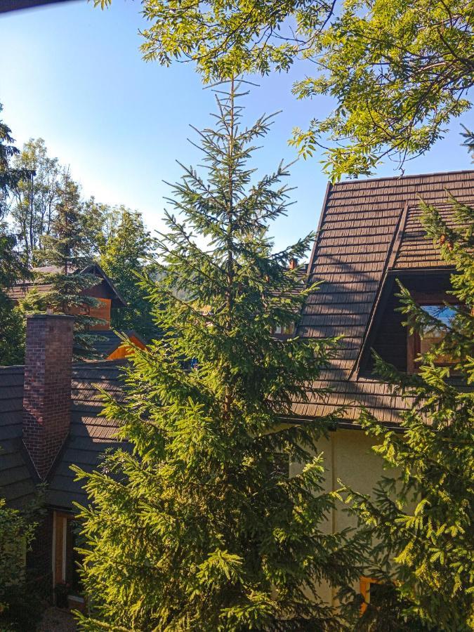 Wynajem Pokoi Goscinnych Zakopane Eksteriør billede